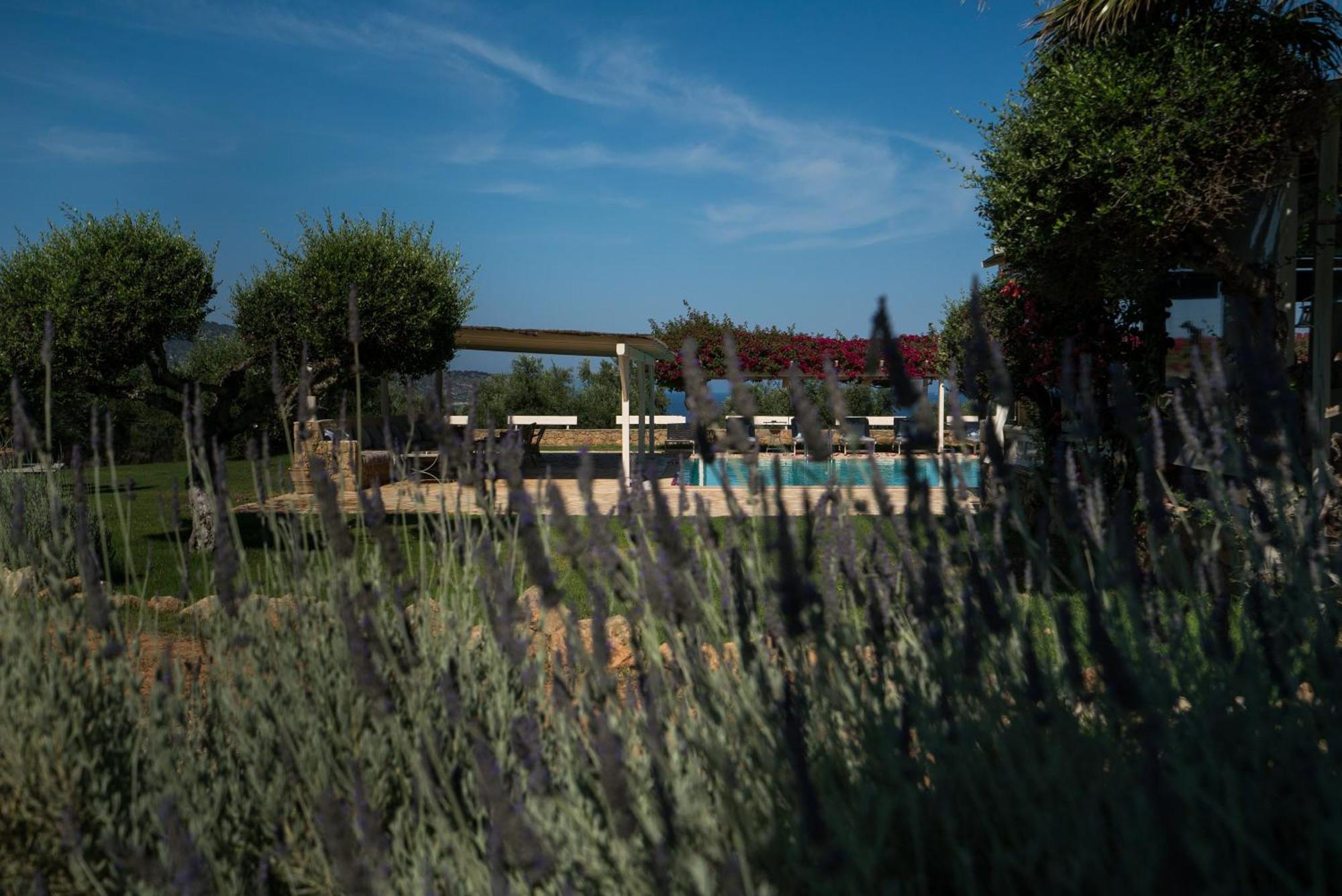 Agrikies Country Retreat Appartement Marathopoli Buitenkant foto